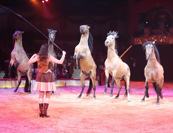 Jana Lacey Krone präsentier Pferde in die Manege des 1. Winterprogrammes 2019  (©Foto: Martin Schmitz)